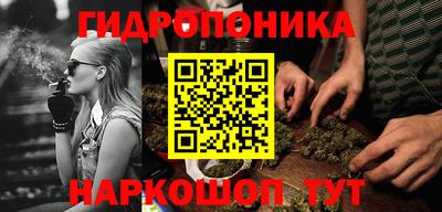 прущие грибы Пенза