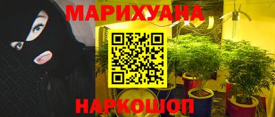 прущие грибы Пенза