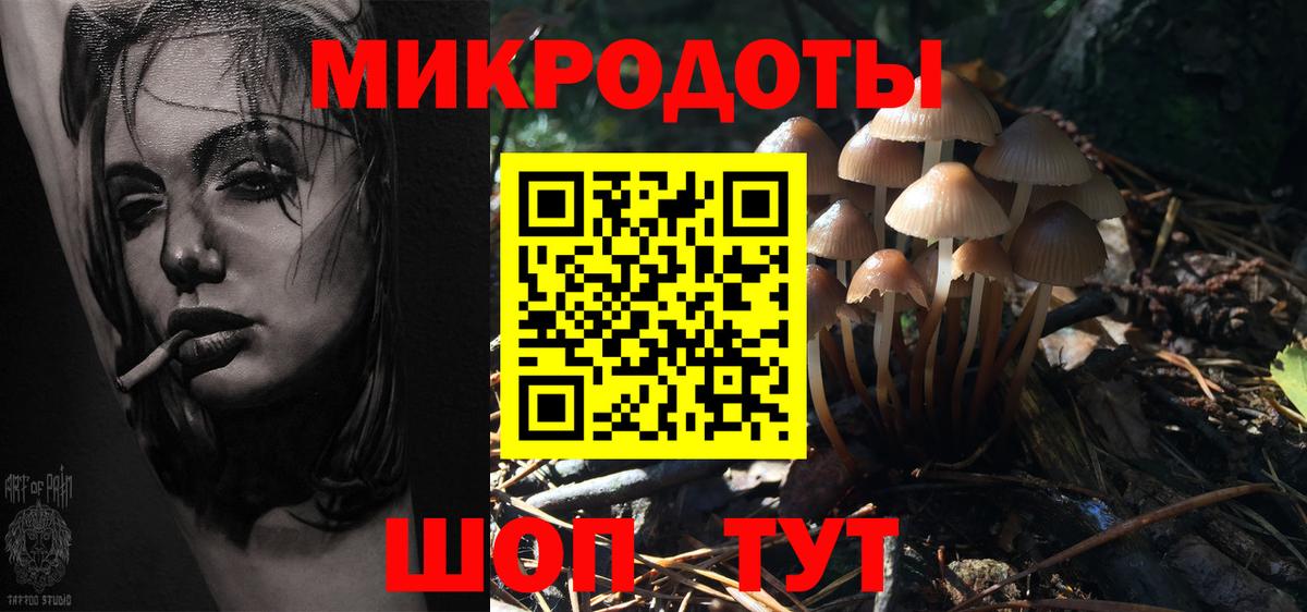 Псилоцибиновые грибы GOLDEN TEACHER  Вход с VPN  как найти закладки  Реутов 